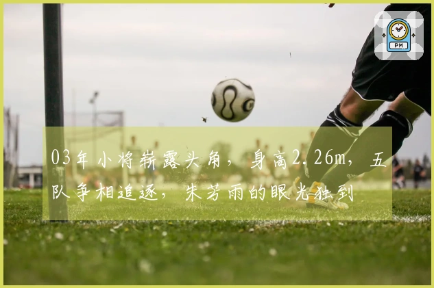 03年小将崭露头角，身高2.26m，五队争相追逐，朱芳雨的眼光独到