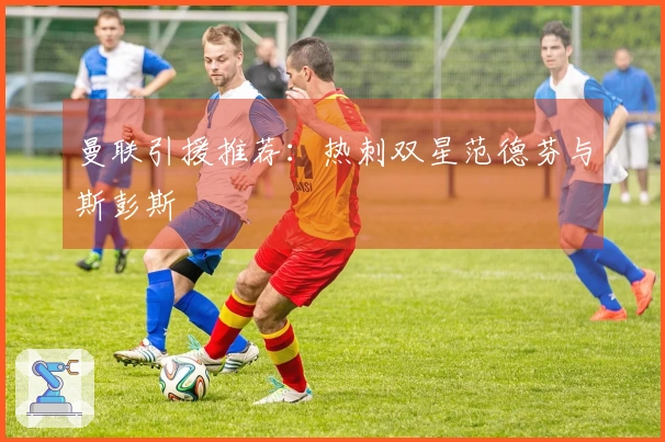 曼联引援推荐：热刺双星范德芬与斯彭斯