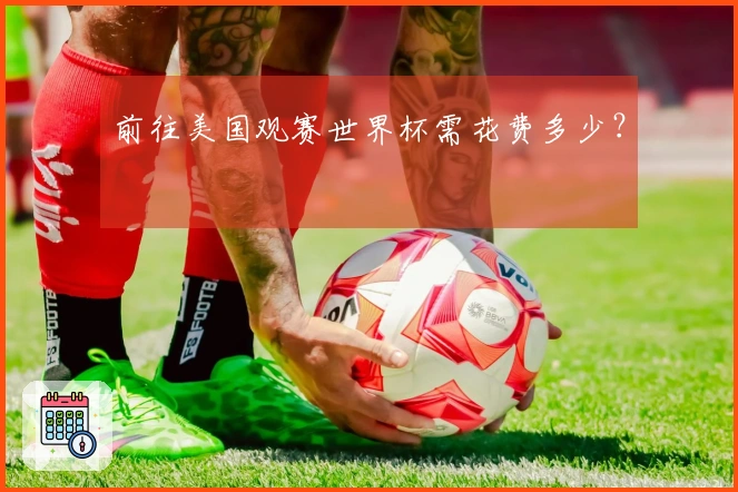 前往美国观赛世界杯需花费多少？