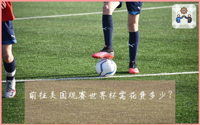 前往美国观赛世界杯需花费多少？